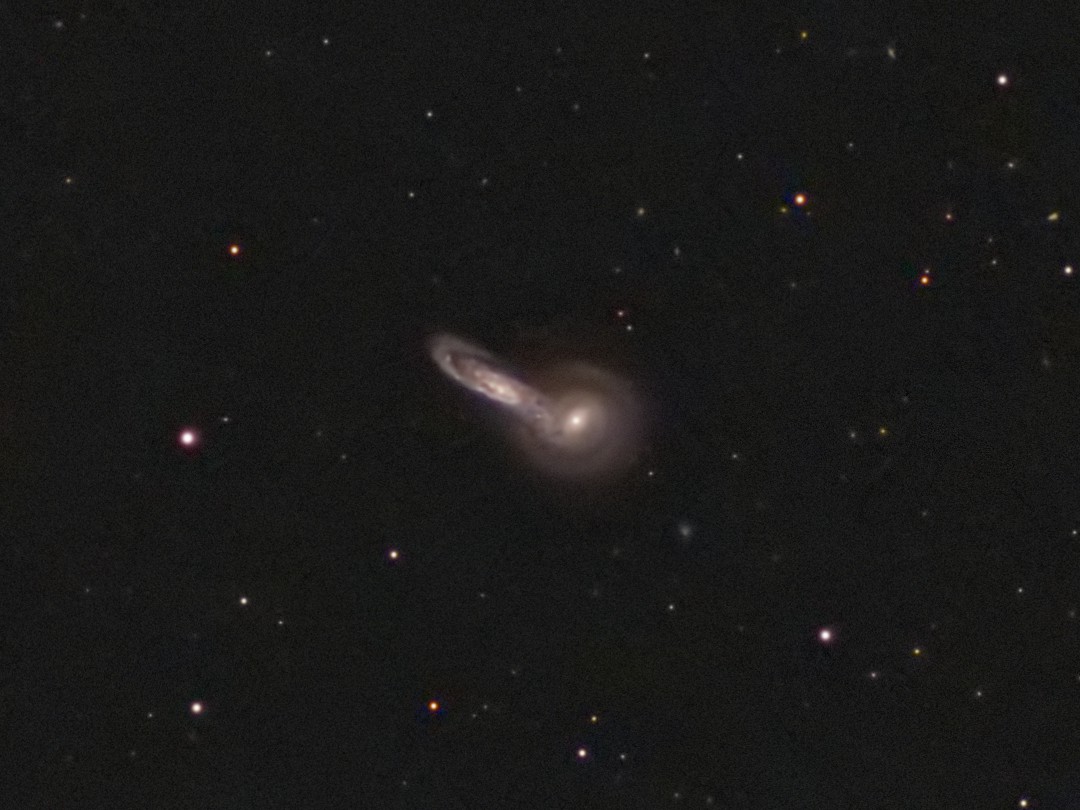 Arp199