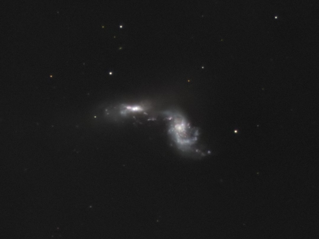 Arp270