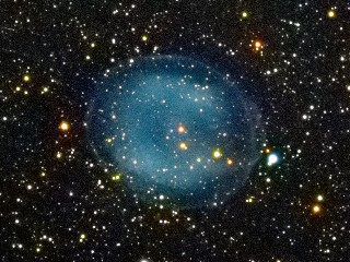 IC1295