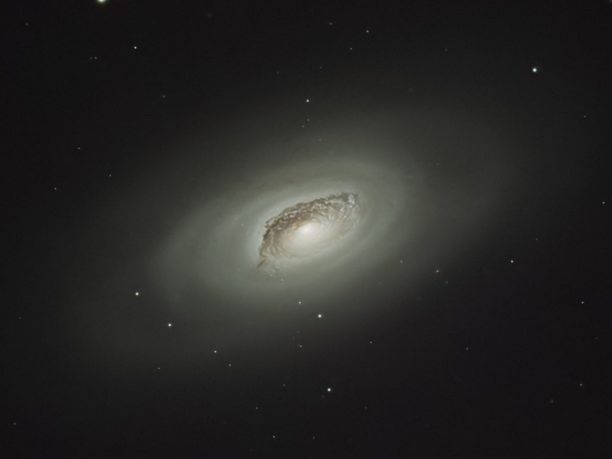 M64