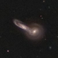 Arp199